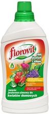 Zdjęcie Florovit Nawóz do Roślin Domowych - Nowy Sącz