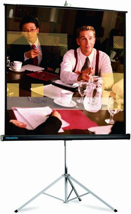 Projecta Picture King 185X244 Matte White
