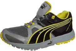 Puma FOX V2 GTX Obuwie do biegania Szlak szary (186746) - Ceny i opinie -  Ceneo.pl