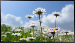 Zdjęcie Samsung 55" ED65C (LH65EDCPLBC/EN) - Trzebnica