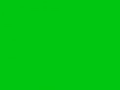 Foba Tło Fotograficzne Plastikowe Tt Plast Light Zielony 130 X 100 Cm F6051 Ceny I Opinie Na Ceneo Pl