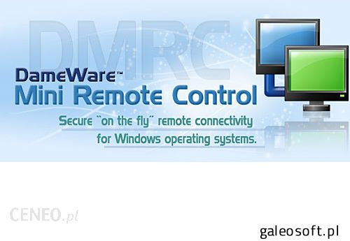 dameware mini remote control service