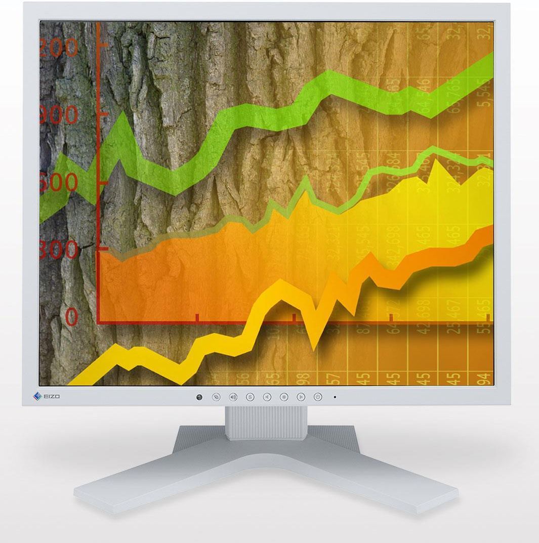 Monitor Eizo 19 FlexScan S1903HGY Szary Opinie i ceny na Ceneo.pl