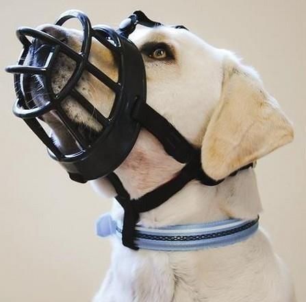 Baskerville Ultra Muzzle Kaganiec Fizjologiczny Czarny Rozmiar 6 (Xxl) - zdjęcie 1 Baskerville Ultra Muzzle Kaganiec Fizjologiczny Czarny Rozmiar 6 (Xxl)