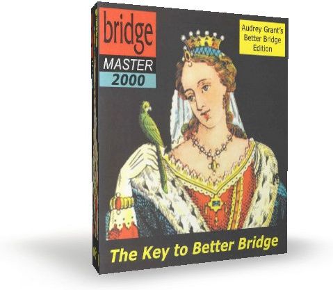 Bridge Master 2000