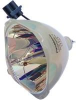 PANASONIC Lampa do projektora PANASONIC PT-DX500E - oryginalna lampa bez modułu