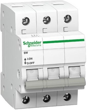 Schneider Isw 3P 100A 415Vac-Rozłącznik Izolacyjny (A9S65391)