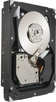 Dysk serwerowy Seagate Cheetah 15K.7 300GB Serial Attached