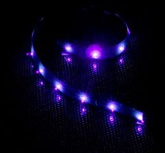 Zdjęcie lamptron Taśma LED FlexLight Professional - 15xLED - UV (LAMP-LEDPR1505) - Radomsko