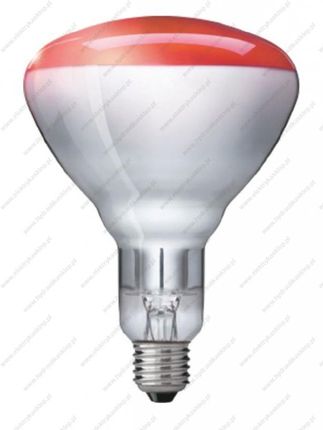 Philips Ir150r R125 Czerwona 871150057520325
