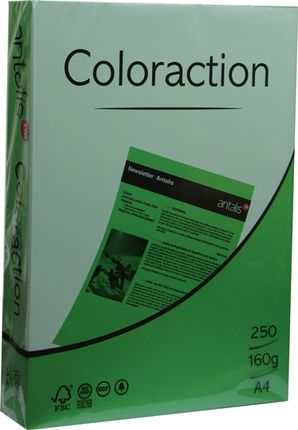 Coloraction Papier Ksero Kolorowy A4 160G Dublin Zielony (382092)
