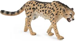 Zdjęcie Collecta Zwierzęta dzikie Gepard (88608) - Olsztyn