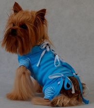 Zdjęcie Grande Finale Koszulka pooperacyjna rozmiar 3 / 36cm niebieska - Łowicz