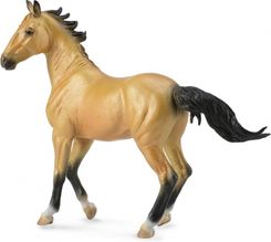 Zdjęcie Collecta Konie Ogier Achał Tekiński Buckskin (88624) - Kraków