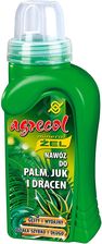 Zdjęcie Agrecol Nawóz do Palm Juk I Dracen 250ml - Brzeg