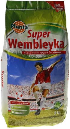 Trawa Super Wembleyka 5kg - trawa sportowa odporna na deptanie