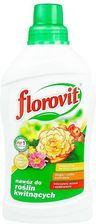 Zdjęcie Florovit Płynny do Roślin Kwitnących 1kg - Mrozy