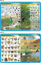Zdjęcie Biologia - Podkładka Edukacyjna Nr 020 - Bydgoszcz