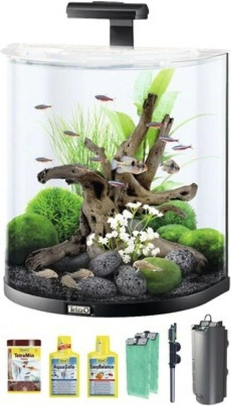 Tetra AquaArt Explorer line 60L - Ceny i opinie - Ceneo.pl