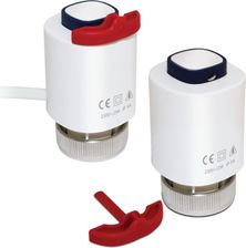 Zdjęcie Salus T30NC24 M30x1.5 - Poznań