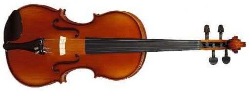 Hora A100 altówka 16 - Ceny i opinie - Ceneo.pl