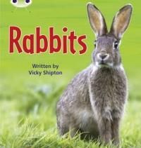Wild Rabbits, Pet Rabbits: Phase 5 (Non-Fiction)