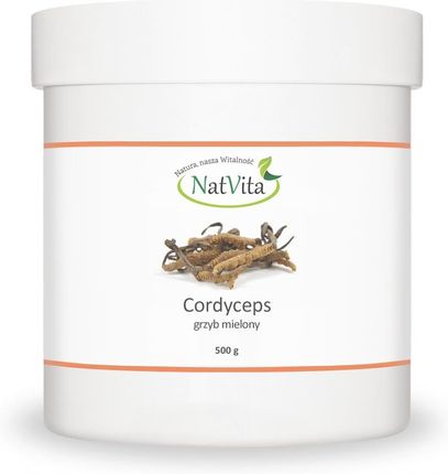 NatVita: cordyceps, maczużnik chiński (cordyceps sinensis) sproszkowany - 500 g