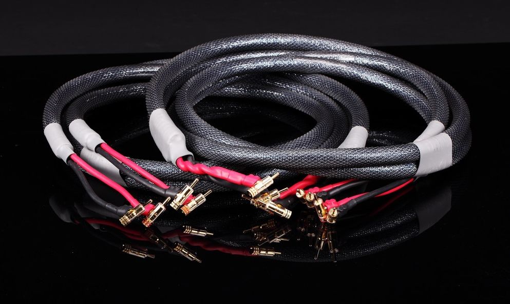 Acoustic zen EPOCH SHOTGUN Opinie i ceny na Ceneo.pl