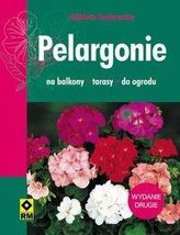 Zdjęcie Pelargonie na balkony  tarasy i do ogrodu - Sieradz