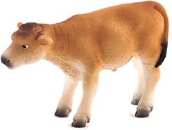 Zdjęcie Animal P. Cielę Rasy Jersey Stojące Ft-7147 - Karczew