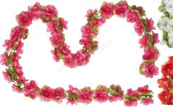 Zdjęcie Basil Ozdobny Wianek Flower / 170 Cm Czerwony - Szczytno