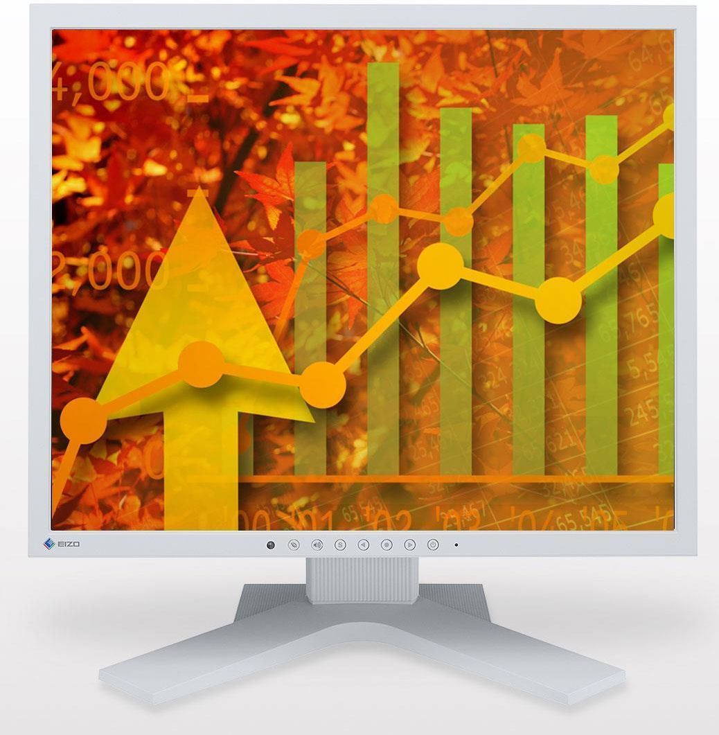 Monitor Eizo 19 FlexScan S1923HGY Szary Opinie i ceny na Ceneo.pl