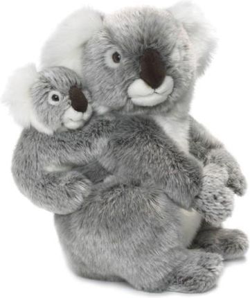 Wwf Koala Mama Z Dzieckiem
