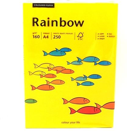Papier Ksero Rainbow A4/ 160 Ciemno Żółty /18/ 250Szt (B1 (S)(Bl3)
