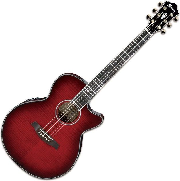 エレアコギター】Ibanez シリーズ・フラッグシップ・モデル