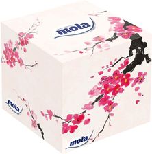 Zdjęcie Pol-Chem Mola 60szt nature spirit kartonik - Biała Piska