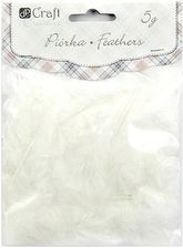 Zdjęcie Dp Craft Piórka 5-12 Cm 5G White - Jaworzno