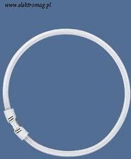 Osram Kołowa Lumilux® FC FC 55W/ 865 2GX13 T5 (4050300528564)