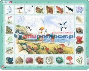 Larsen Flora I Fauna Morza - Maxi Puzzle