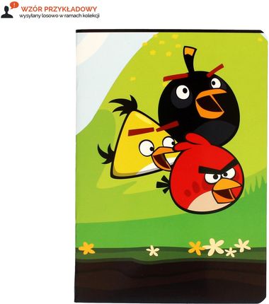 Interdruk Zeszyt 96 K Kratka Angry Birds