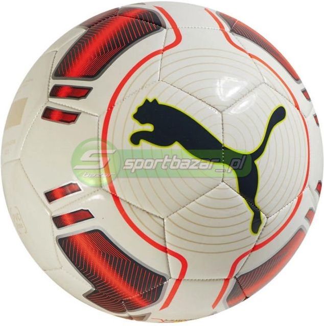 puma evopower 6 trainer