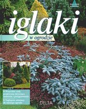 Zdjęcie Iglaki w ogrodzie - Sieradz