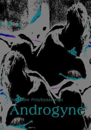 Androgyne (E-book)
