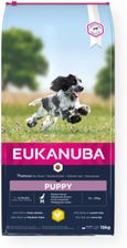 Karma dla psa Eukanuba sucha karma dla szczeniąt ras średnich bogata w świeżego kurczaka 15kg - zdjęcie 1