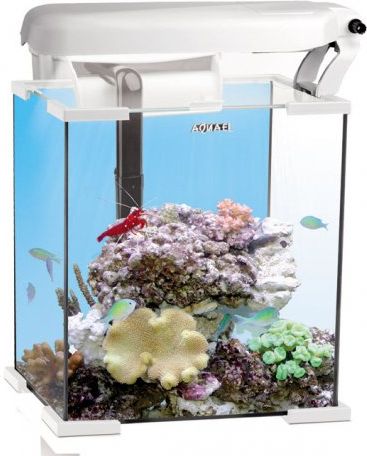 Aqua El Zestaw Akwariowy Nano Reef 30x30x35cm30l Ceny I Opinie