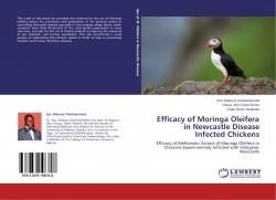 Efficacy of Moringa Oleifera in Newcastle Disease Infected Chickens