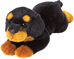 Zdjęcie SUKI Piesek Rottweiler 35cm  - Wałbrzych