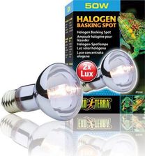 Zdjęcie HAGEN Exo Terra żarówka sun glo 50 W halogen - Katowice