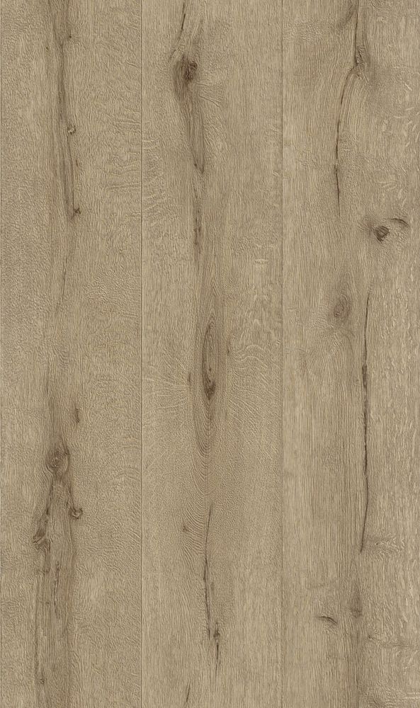 Rasch Black Forest 514421 Opinie i ceny na Ceneo.pl