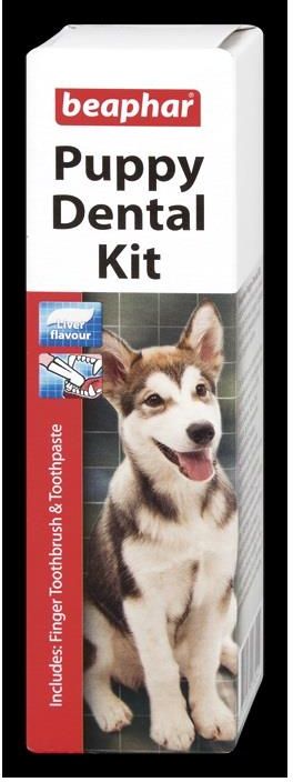 beaphar puppy dental kit